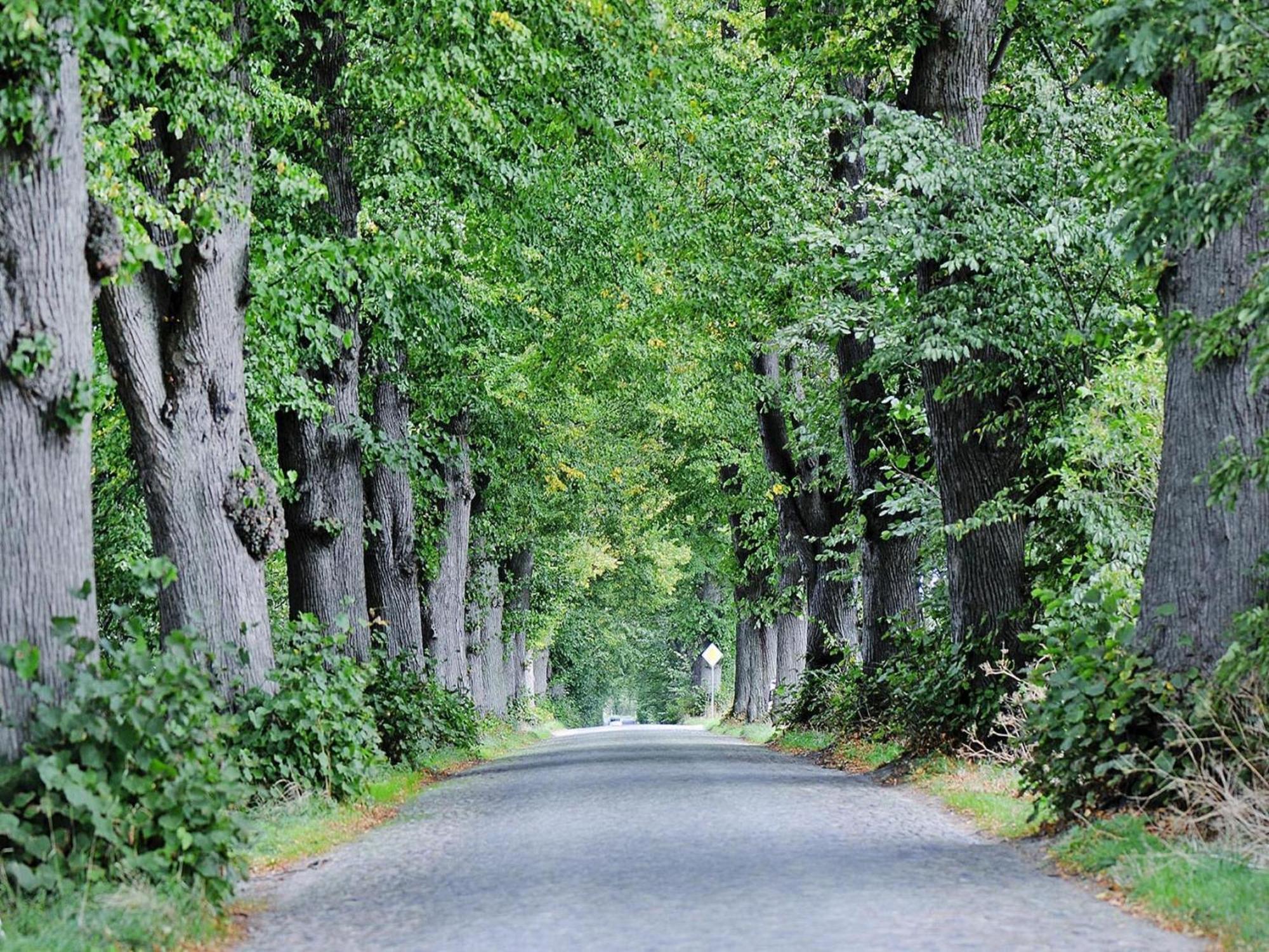 Вілла Gutshaus Zicker In Garz Garz  Екстер'єр фото